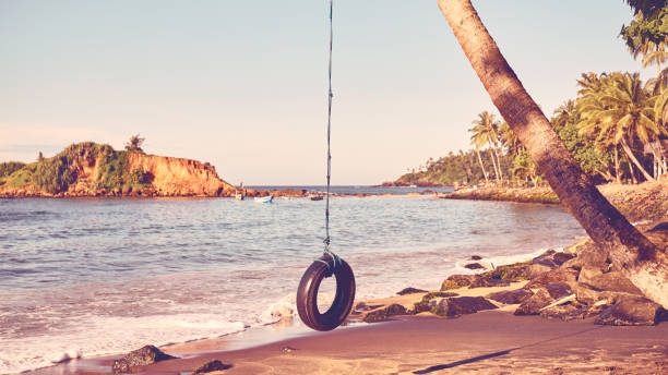 Young man on tire swing at Brazilian tropical beach.
