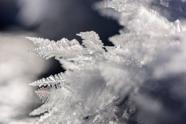 istock Frost Crystals on Frozen Lake’s Surface. 1200069594
