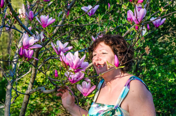 reife frau genießen magnolienblumen im frühling - magnolia blossom flower head single flower stock-fotos und bilder