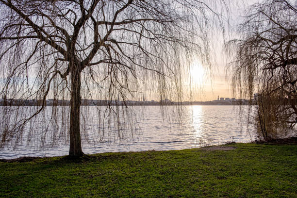 Alster in Hamburg