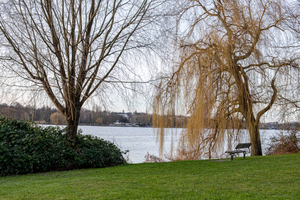 Park bench on the Alster
