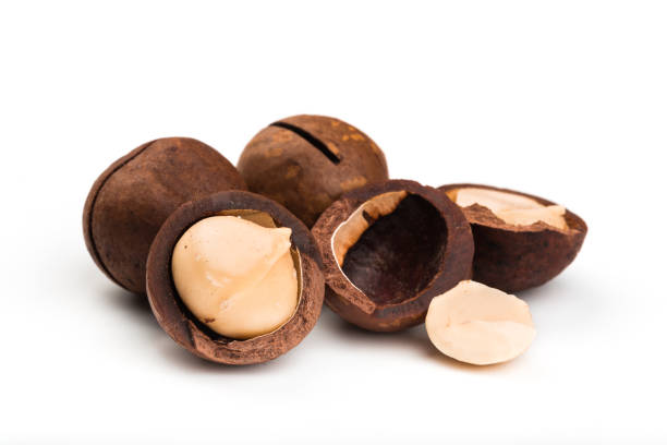 istock Shelled and unshelled macadamia nuts on white background 1200076452