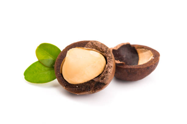 istock Inshell macadamia nuts with leaves isolated on white background. 1200077106