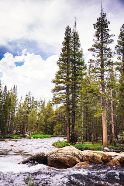 istock lake at yosemite national park 1200078120