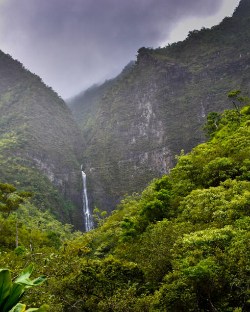istock [Hawaii] Kauai - Hanakapi'ai Falls 1200080817