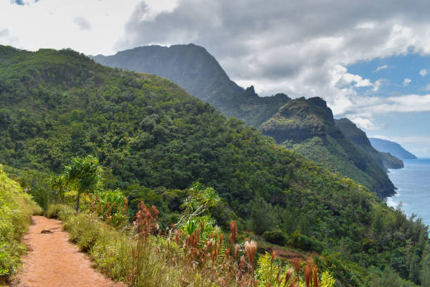 istock [Hawaii] Kauai - Kalalau Trail 1200080838
