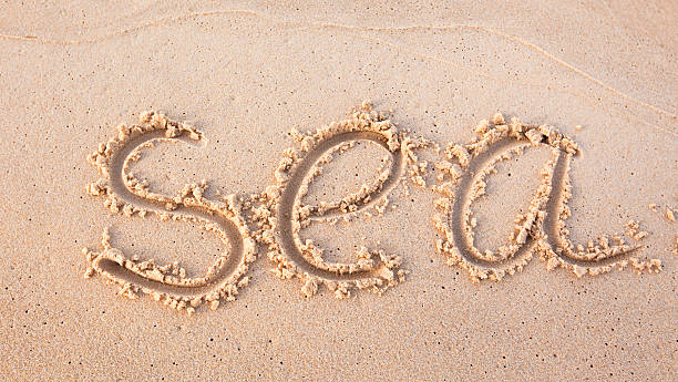 istock word 