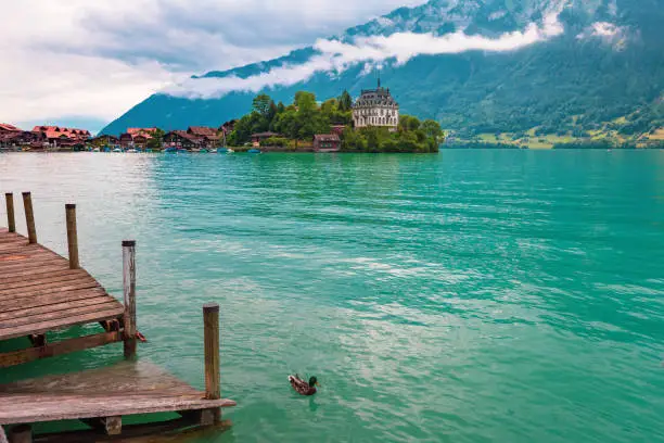 View of village and former castle on Lake Brienz in swiss village Iseltwald, Switzerland. Duck in the foreground