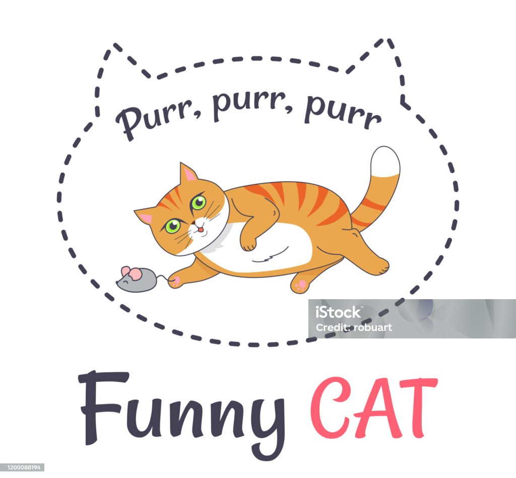 Mèo Hài Hước Làm Cho Âm Thanh Purr Chơi Với Chuột Xám Hình minh ...