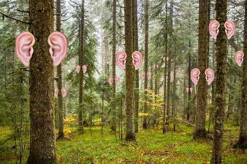 nature listens concept with surrealistic forest with trees having ears listening