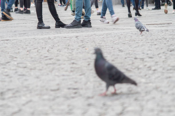 istock People walking through a pedestrian zone background 1200094270