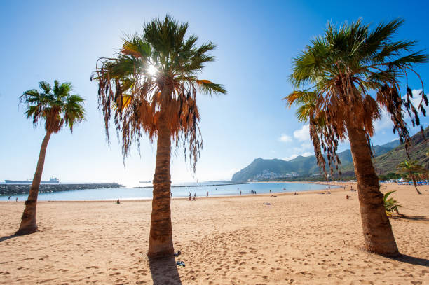istock The Teresitas Beach 1200094631