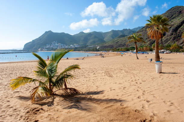 istock Las Teresitas Beach 1200094645