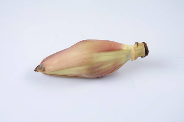 Banana blossom isolated on white background
