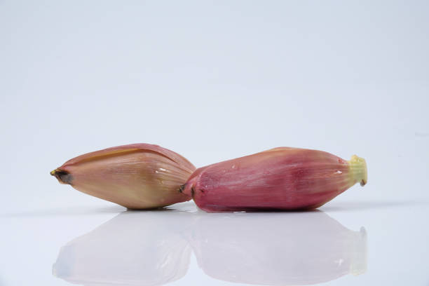 istock Banana blossom isolated on white background 1200096810