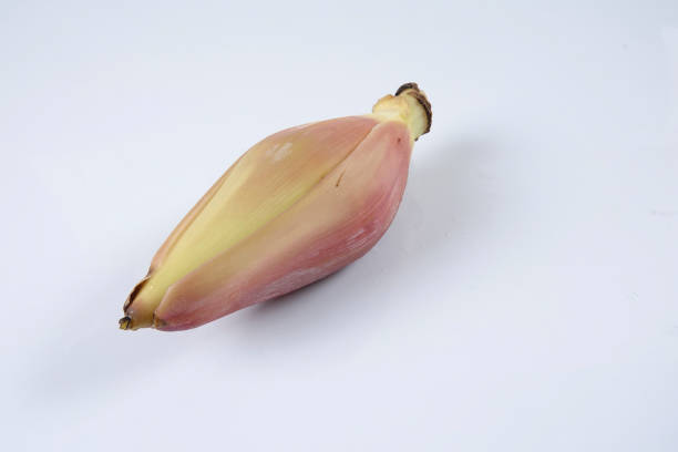 istock Banana blossom isolated on white background 1200096811