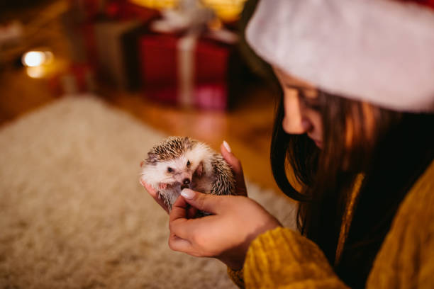 istock Woman and her hedgehog at Christmas 1200102763