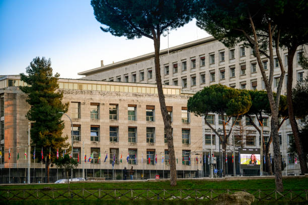 The seat of the Food and Agriculture Organization of the United Nations FAO in Rome seen from the Circus Maximus Rome, Italy, January 15 -- A view of the FAO Palace taken from the Circus Maximus. The Food and Agriculture Organization (FAO) is a specialized agency of the United Nations (UN) that leads international efforts to defeat hunger. With over 194 member states, FAO works in over 130 countries worldwide. Image in HD format. unesco organised group stock pictures, royalty-free photos & images