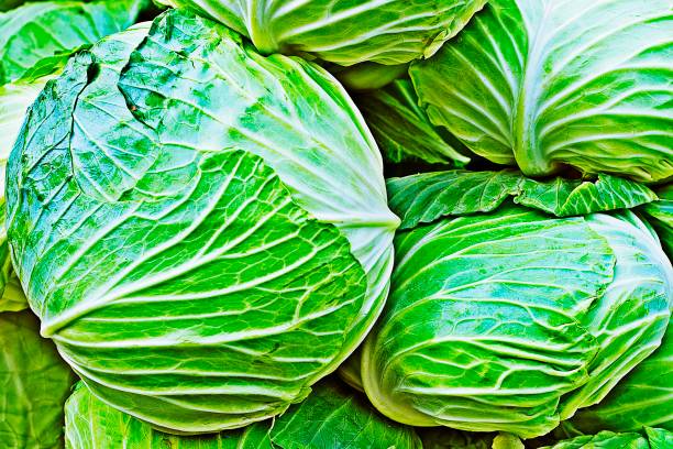 istock Fresh cabbage vegetables - Bangkok fresh market. 1200106512
