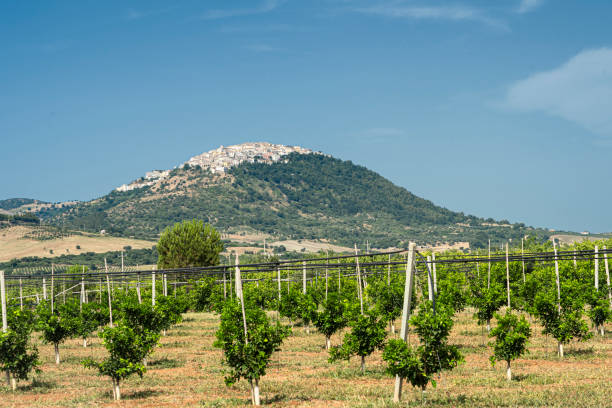 istock View of Rotondella, Basilicata, Italy 1200107533