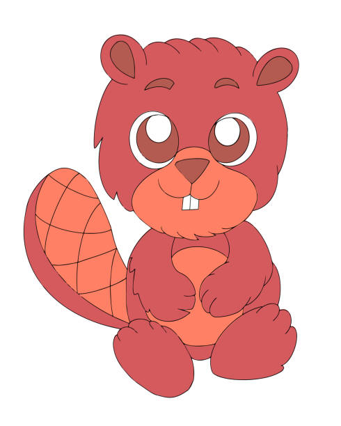 Cute baby beaver on white background Cute baby beaver on white background. Cute animal illustration.Beavers drawings. Application in children's printing, advertising, packaging of goods, textiles,postcards. clip art of baby beaver stock illustrations