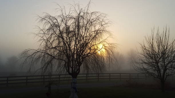 istock A Foggy Morning 1200109014