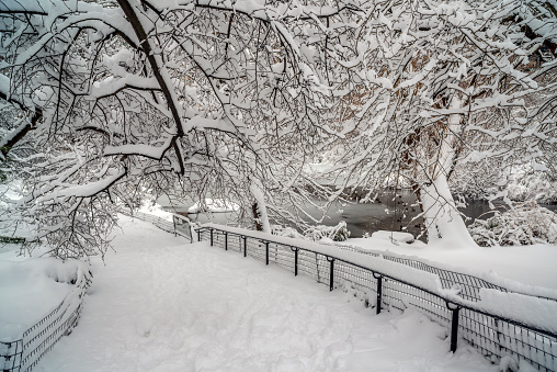 Central Park in winter  after snow storm