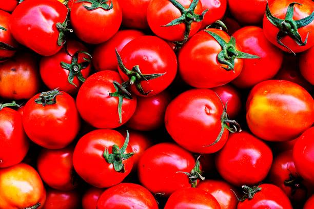 istock Pile of Tomatoes. 1200110417