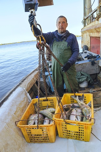 Khabarovsk region, Russia - September 22, 2019: Salmon fishing on the Amur river. Fisherman standing in a boat with fresh catch of chum salmon (Oncorhynchus keta). Khabarovsk region, far East, Russia.