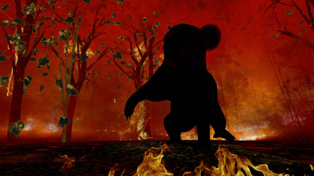 istock Silhouette of poor koala bear cornered with flames in forest all around him. 3d rendering 1200111122