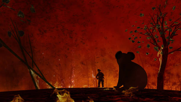 istock Hopeless and sad koala can do nothing about bush fires in Australia. Sitting and waiting help from fireman coming 3d rendering 1200111124