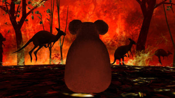 istock Koala sitting and watching the fire destroying his home and running kangaroos 3d rendering 1200111167