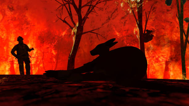 istock Injured kangaroo laying on the ground and need help in wild fire in Australia 3d rendering 1200111176