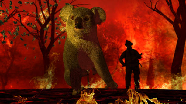 istock Koala is in panic between fire and flames in Australia a fireman is coming to help him 3d rendering 1200111700