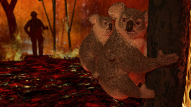 istock Mother koala with her baby between flames in Austrailan fires in jungle 3d rendering 1200111712