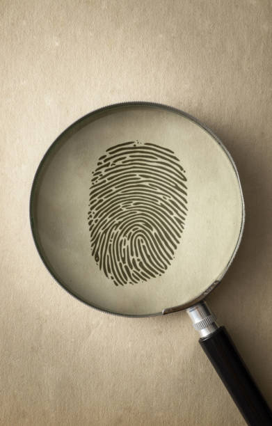 Black Fingerprint Under a Magnifying Glass stock photo