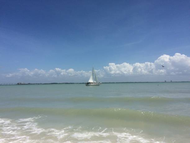 istock Sailboat on the Gulf 1200117718
