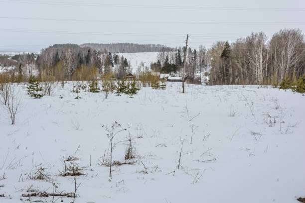 últimos dias de inverno nos campos - snow horizon winter shed - fotografias e filmes do acervo