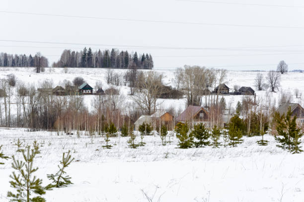 フィールド上の冬の最後の日 - snow horizon winter shed ストックフォトと画像