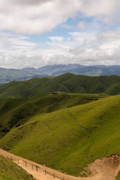 istock Rolling Fields and Sheep in New Zealand 1200118965
