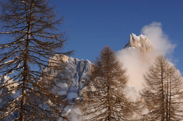 시몬 델라 팔라 또는 시몬은 창백한 디 산 마르티노 그룹의 구름에서 나온다. 이탈리아 티롤 남부의 파소 롤에서 바라보는 경치. - cimon della pala 뉴스 사진 이미지