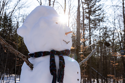 Snowman in the Forest in Winter.