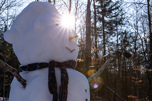 Snowman in the Forest in Winter.