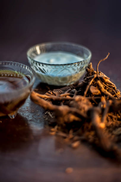 Raw ayurvedic herb chitrak/Plumbago zeylanica roots on the brown-colored shiny surface with some buttermilk, ghee or clarified butter, its extract, curd, and honey with it used in ayurvedic therapy. hierba ayurvédica cruda chitrak/plumbago zeylanica raíces en la superficie brillante de color marrón con un poco de suero de mantequilla, ghee o mantequilla clarificada, su extracto, cuajada, y la miel con ella utilizada en la terapia ayurvédica.