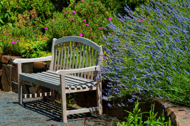 An inviting wooden bench sits in a sunny garden setting.