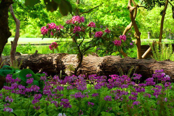 istock Flowers bloom in this shady garden 1200127483