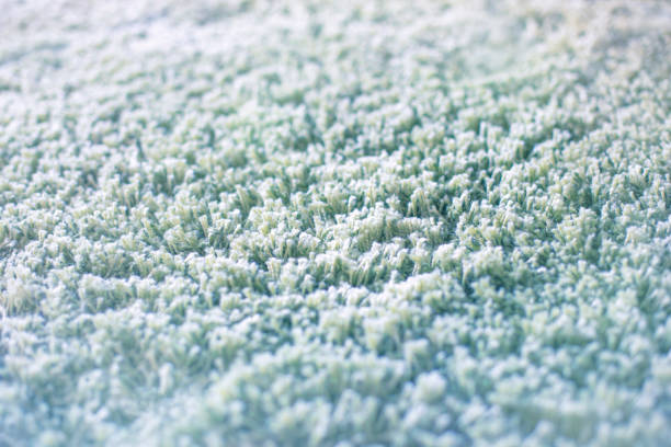Carpet close-up Light green shag rug close-up with selective focus shag rug stock pictures, royalty-free photos & images