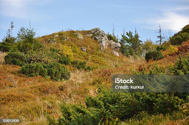 In Montagne - Fotografie stock e altre immagini di Albero - Albero, Ambientazione esterna, Ambientazione tranquilla