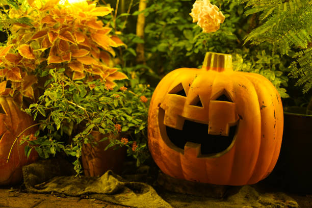 Image of Halloween jack lantern. Shooting Location: Yokohama-city kanagawa prefecture