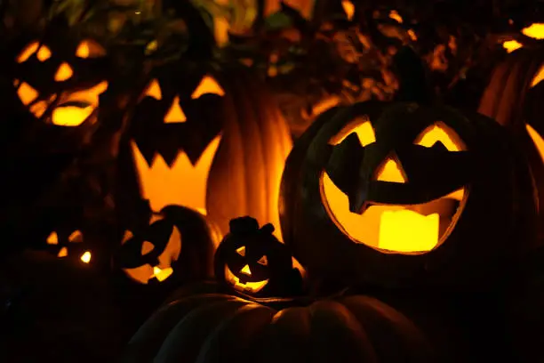 Image of Halloween jack lantern. Shooting Location: Yokohama-city kanagawa prefecture